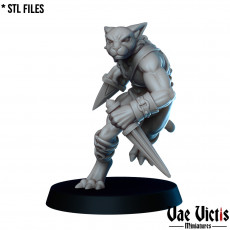 Tabaxi gladiator