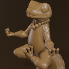 Meditating Lizard
