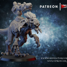 Amish space elf suport creature