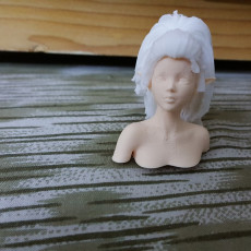 Elf Bust - An experiment for separate parts