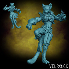 Female Tabaxi Monk with Claws NOW PRESUPPORTED