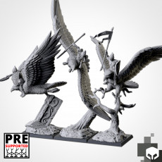 Hawk Riders