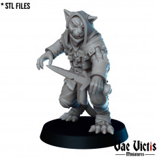 The Tabaxi bandit