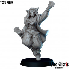 The Tabaxi diviner