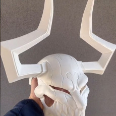 3D Print of The Whole Hollow Mask