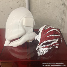 3D Print of The Whole Hollow Mask