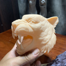 Tiger Head