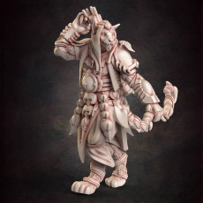 Tabaxi Bandit 2