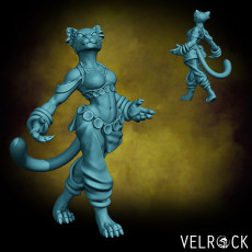Female Tabaxi Dancer (PRESUPPORTED)