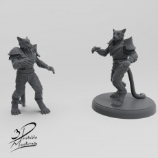 Tabaxi Monk