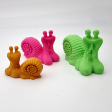 Pussy Snail