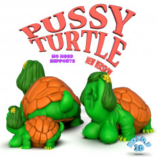 Pussy Turtle