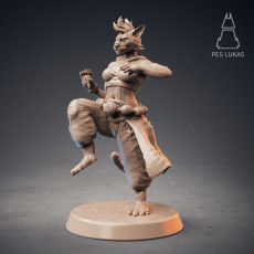 Tabaxi Monk