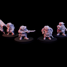 Military Dwarfs