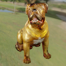 Pitbull