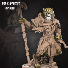 Tabaxi Ranger