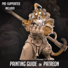 Yao Kang, the Tabaxi Monk (2 Versions)
