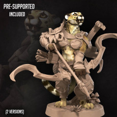 Tabaxi Battle Bard (2 Versions)