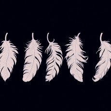 art feathers
