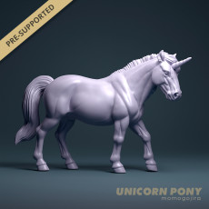 Unicorn Pony