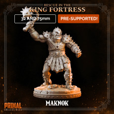 Orc minion - MAKNOK - April 2023 - RESCUE IN THE KING FORTRESS -  MASTERS OF DUNGEONS QUEST