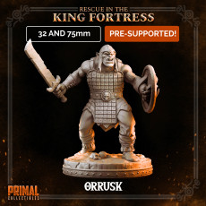 Orc minion - ORRUSK - April 2023 - RESCUE IN THE KING FORTRESS -  MASTERS OF DUNGEONS QUEST