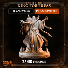 Wizard - ZAHIR THE GUIDE - April 2023 - RESCUE IN THE KING FORTRESS -  MASTERS OF DUNGEONS QUEST