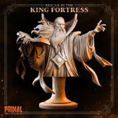 Wizard - ZAHIR THE GUIDE - Bust-  April 2023 - RESCUE IN THE KING FORTRESS -  MASTERS OF DUNGEONS QUEST