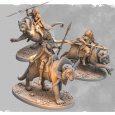 Tiger Riders
