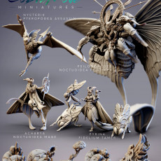 CobraMode 16 June 2021 Release - Noctuoidea and Fidelium Mothfolk