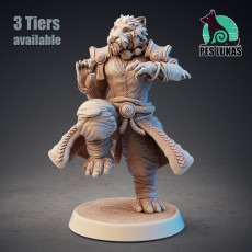 Monk Tabaxi