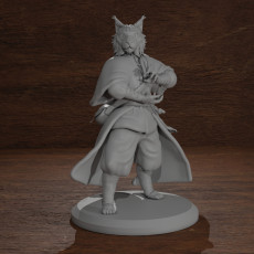 Tabaxi Mage