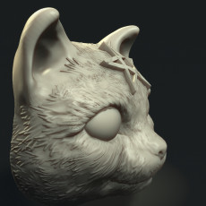 wicca cat