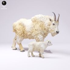 Rocky Mountain Goat and Kid