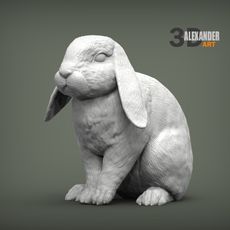 rabbit ram