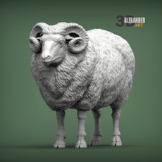 ram