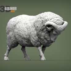 Ram attacks
