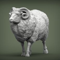 walking ram
