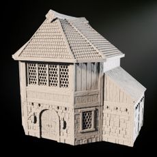 Fantasy Medieval Library Building