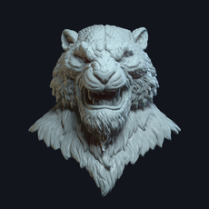 Tiger v2