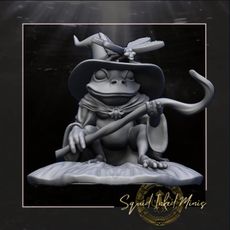 Hopscotch The Frog Wizard