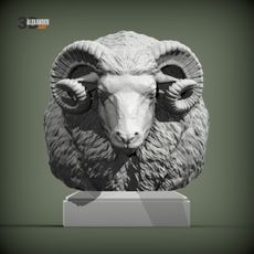 Ram bust