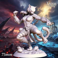 Tigra - Monk Tabaxi Brawler - Tabaxi Monk - Brawler Monk Tabaxi Monk
