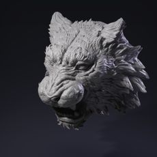 Tiger Head