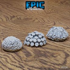 Coral Set / Underwater Environment / Sea Decoration Items / Deep Water Dungeon Equipment / Ocean Area Theme / River Encounter