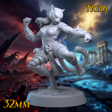 Tigra 32mm - Monk Tabaxi Brawler - Tabaxi Monk - Brawler Monk Tabaxi Monk 