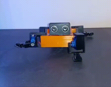 Quadruped Robot