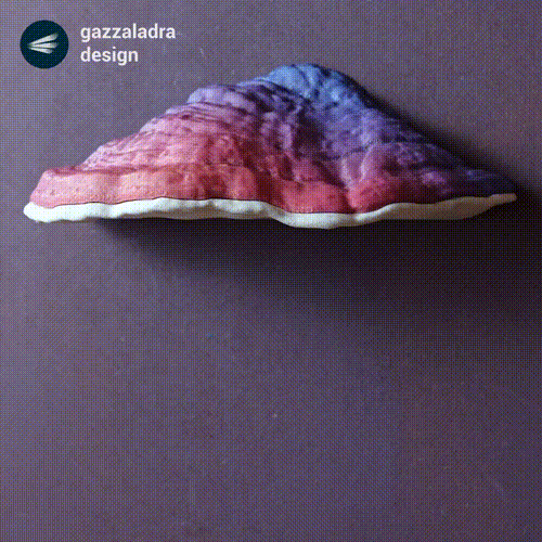 Mushroom magnetic key holder with secret tray “Ganoderma Carnosum”