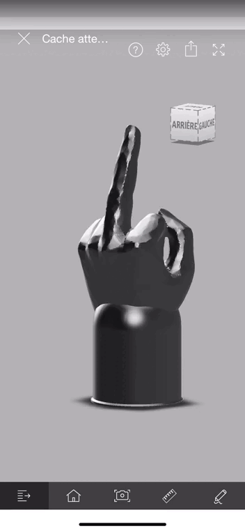 Ball cover for fuck trailer hitch - finger of honour