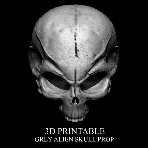 3D PRINTABLE GREY ALIEN SKULL PROP